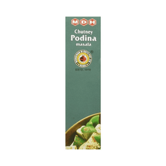 MDH Chutney Podina 100G