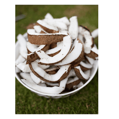 Ayers Coconut Slices