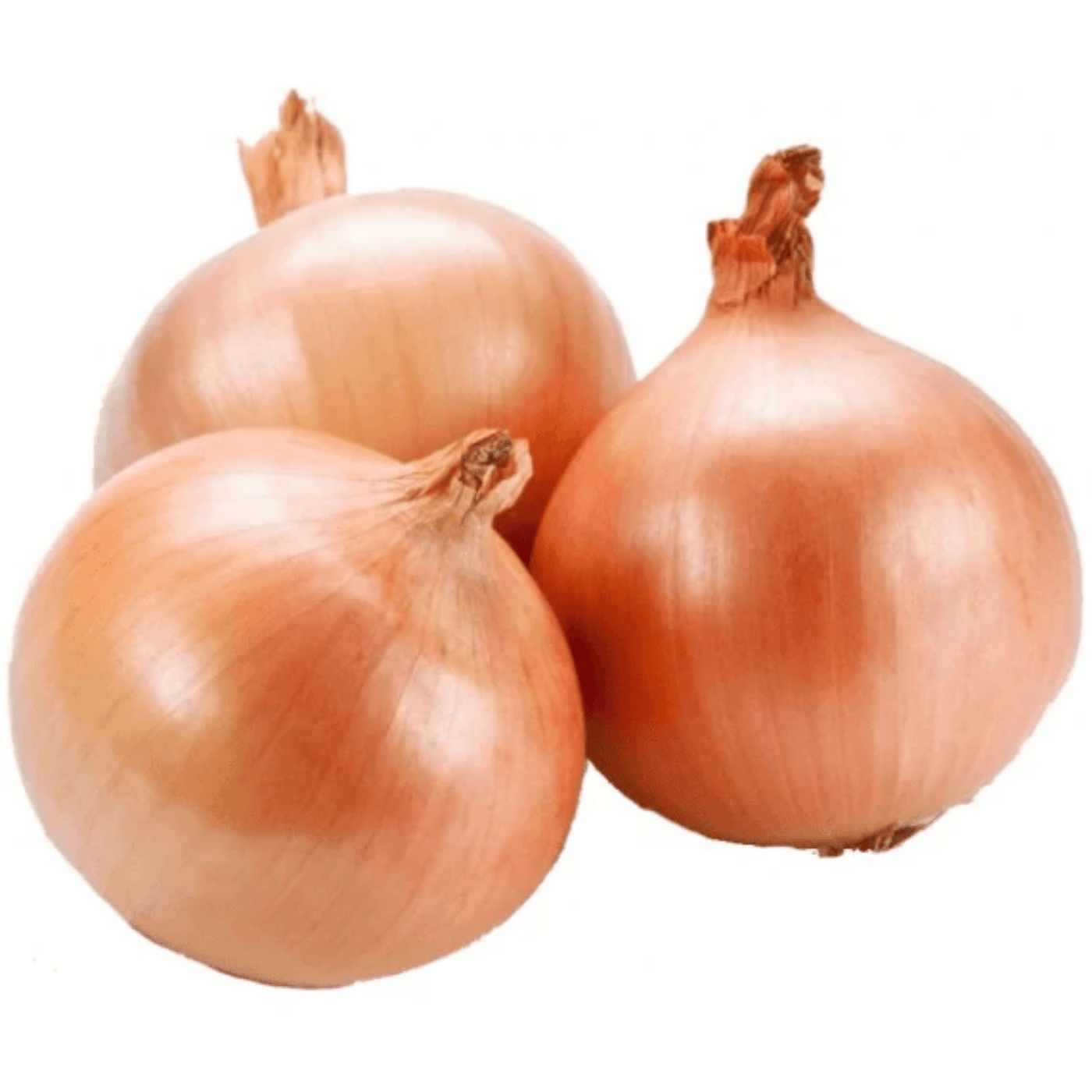 Brown Onions