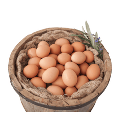 Eggs Tray 30 PCS 1