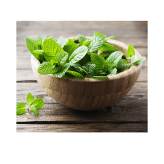 Fresh Mint Leaves