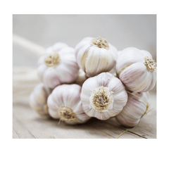 Fresh Garlic Pre-pack