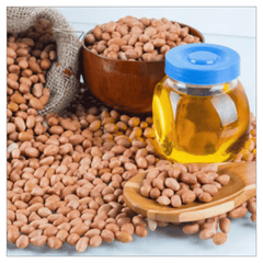 Groundnut Oil