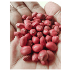 Pattu Raw Red Peanuts
