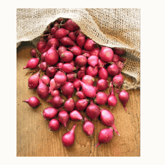 Vadilal Red Baby Onions