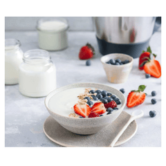 Shuddh Indian Yoghurt