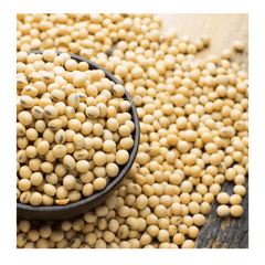 Saurbhi Soya Beans