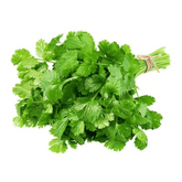 Fresh Coriander