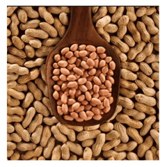 Saurbhi Spanish Peanut 500 Gms