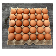 Eggs Tray 30 PCS