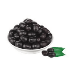 Vadilal Jamun
