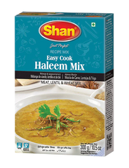 SHAN HALEEM MIX 300G